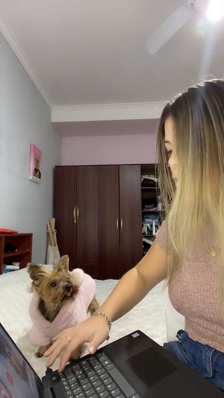 Lola, la perrita viral de TikTok