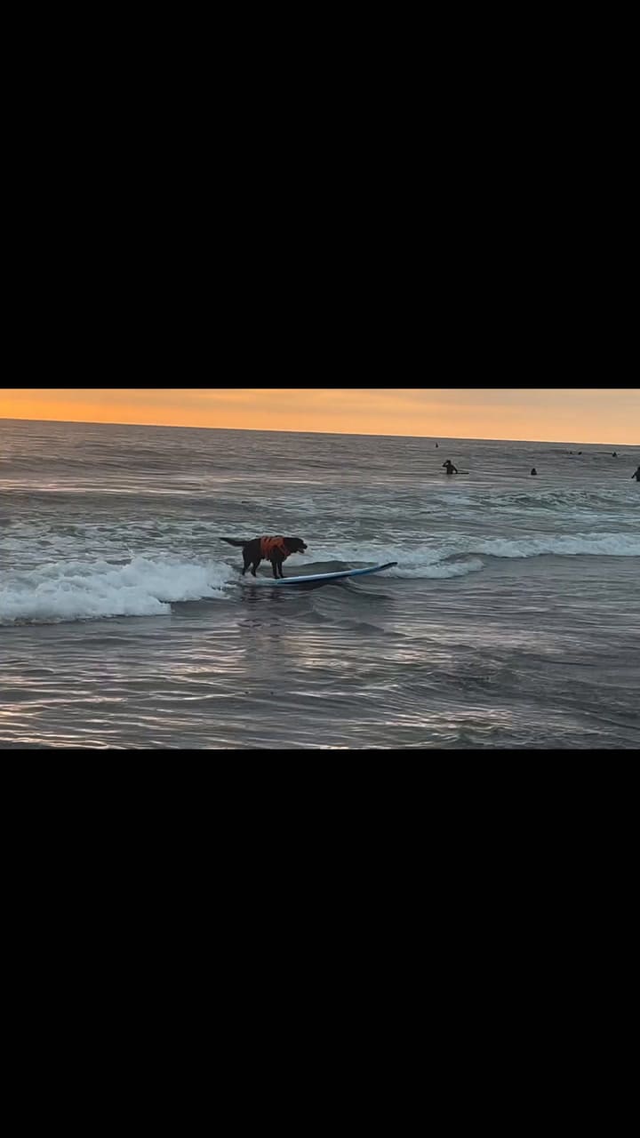When We’re Not Working, We’re Out With The Sunset! There Have Been So Many Lovely People We’ve Met Along The Way! Thank You Laura Gonzolas For Sharing This Gem, You Made Our Night