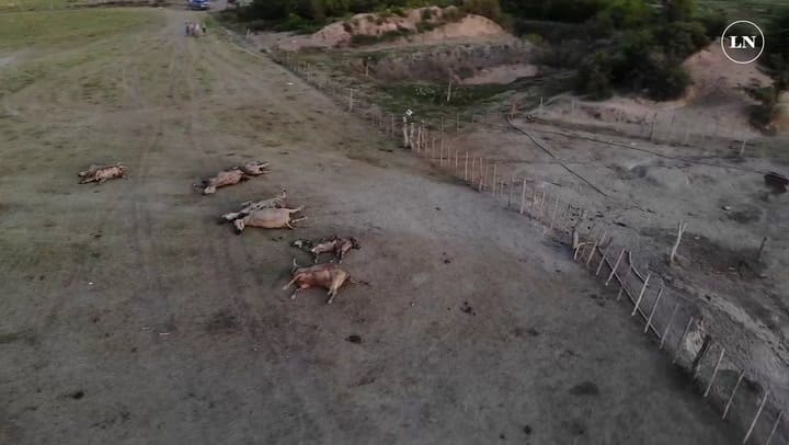 Imágenes sensibles. La inundación en el norte de Santa Fé