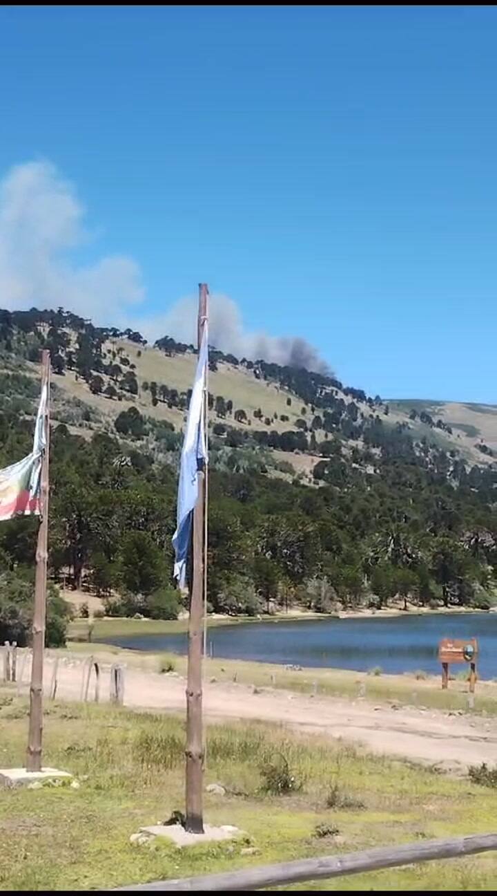 Incendio en el parque Lanín