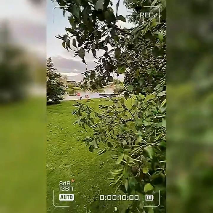 La casa de Darío Barassi: con vistas al jardín, lago y pileta - Fuente: Instagram