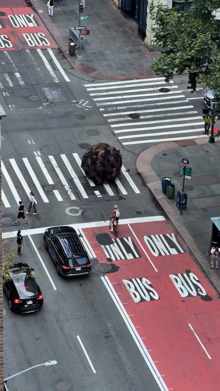 La bola gigante de pelo humano que apareció rodando por Nueva York