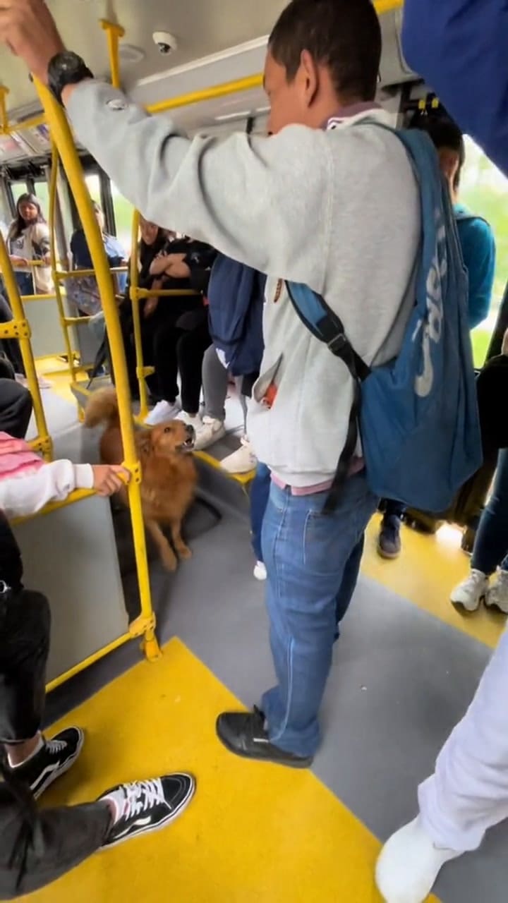 El video que se volvió viral