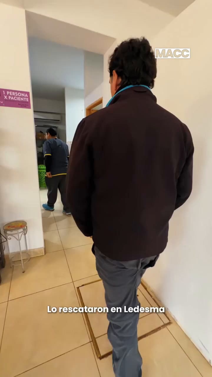 Los motivos por los que un oso hormiguero bebé vive abrazado a un oso de peluche