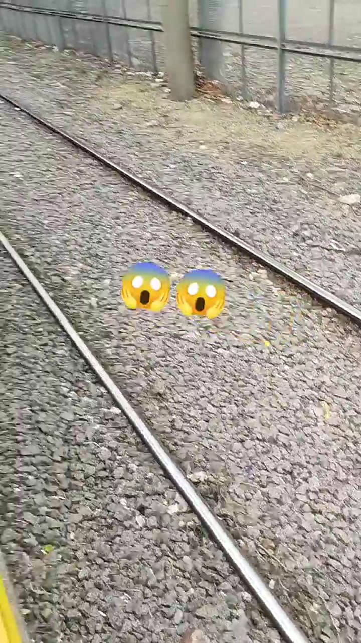 El momento en el que los pasajeros logran frenar el tren