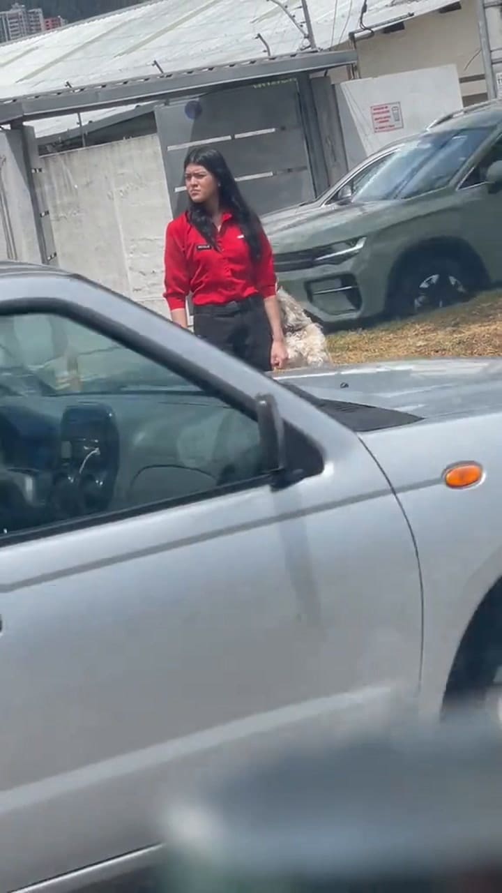 El video viral del perro que cruza la calle en dos patas