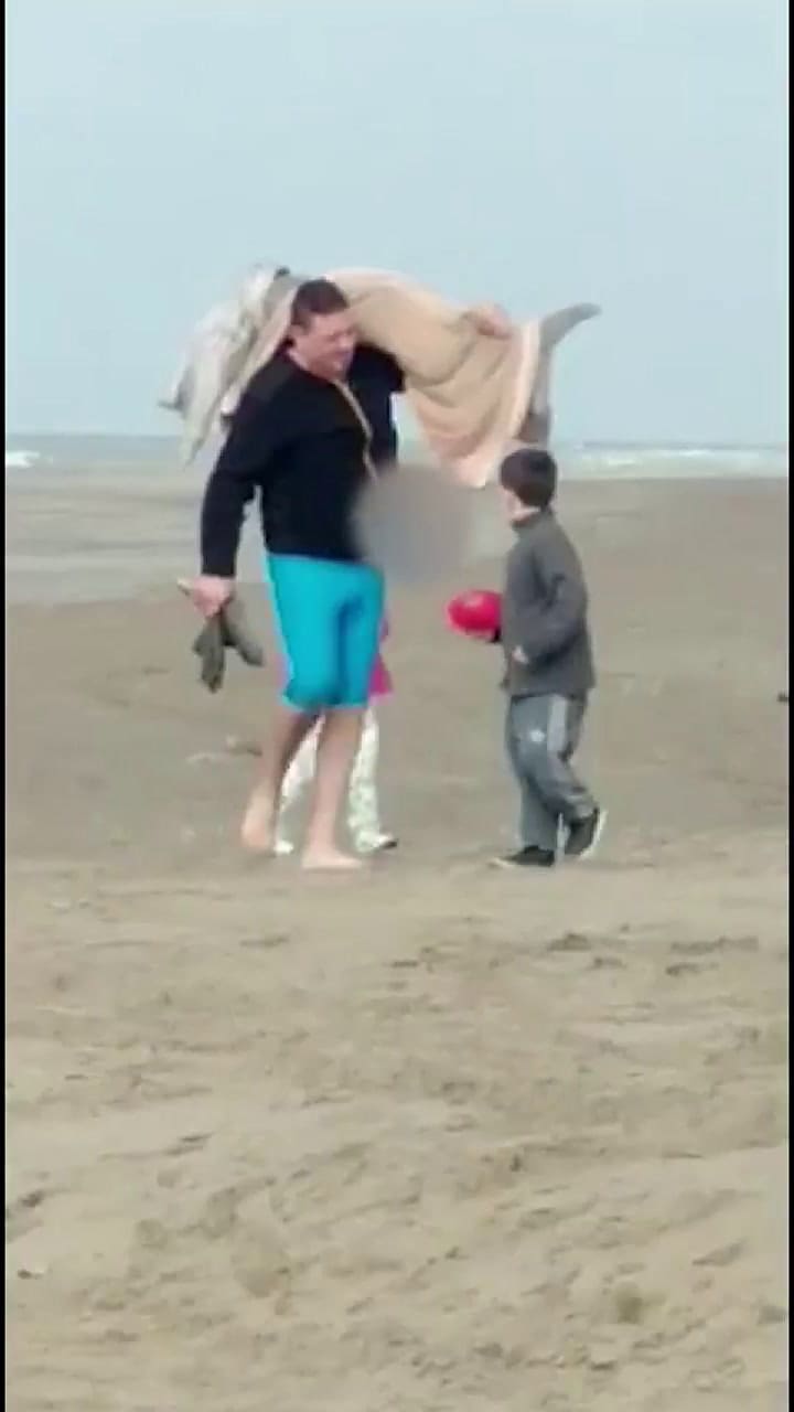 Maltrato a Delfin
