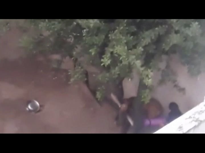 Córdoba: rescatan a un perro tras la difusión de un video en el que su dueña lo golpeaba