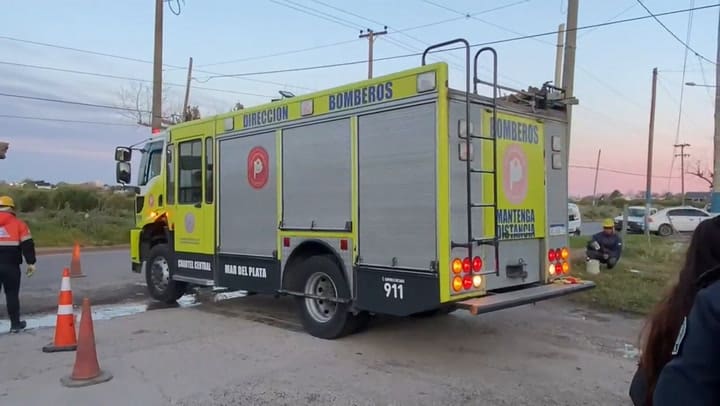 Una yegua cayó en una alcantarilla y fue rescatada
