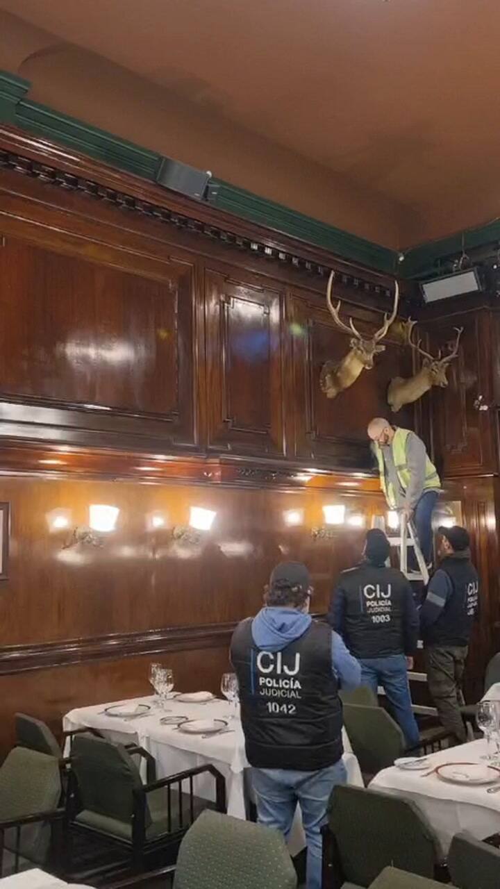 El momento en el que retiran las cabezas de ciervo