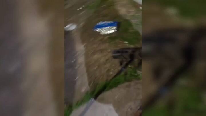 Desbaratan a una banda que robaba motos en la Ciudad