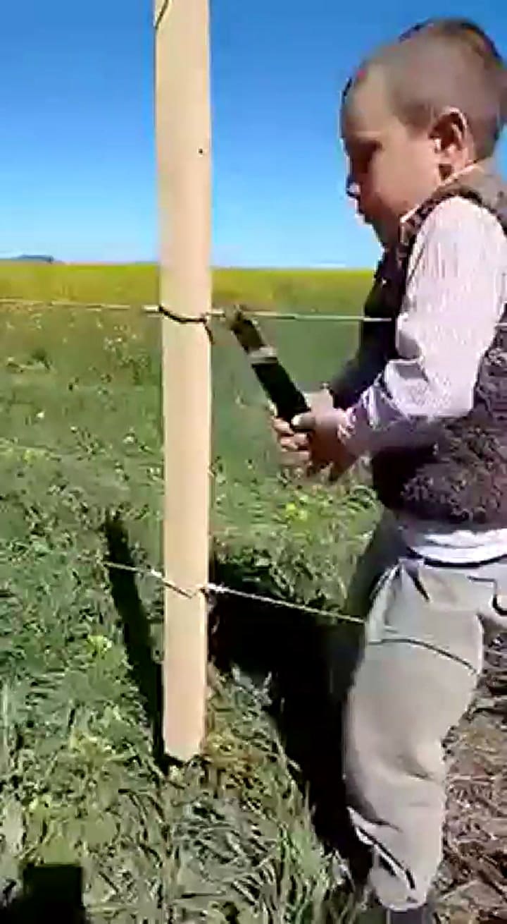 Lázaro el chico alambrador