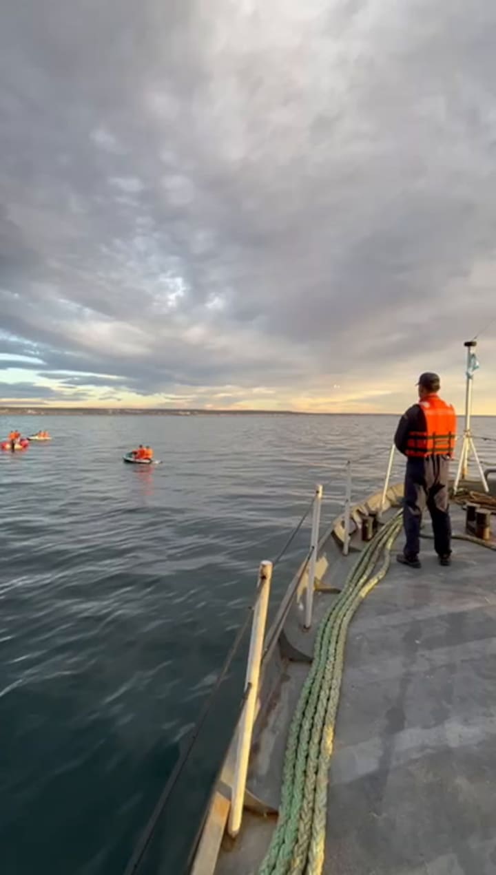 Puerto Madryn: buscan a una joven que se metió al mar a bucear y no volvió a la superficie