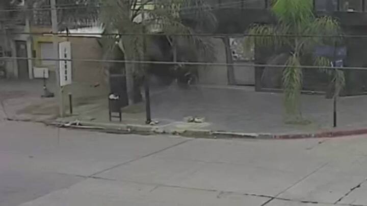 Córdoba: Detuvieron y ataron a una palmera a un ladrón