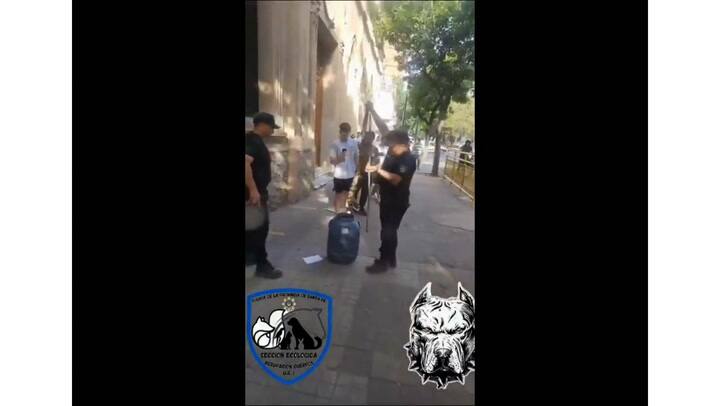 Sorpresa en Santa Fe: una víbora de dos metros de largo estaba bajo un auto