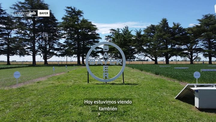 BAYER Pergamino WEB V3