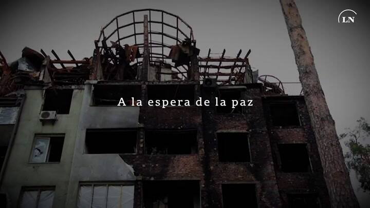 Informe Betta 28-02