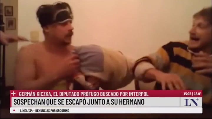 Diputado osito