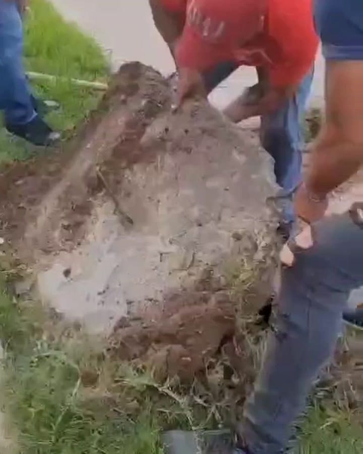 Personal de Prodego trabajó en el rescate de Lázaro