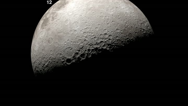 Las investigaciones de la NASA sobre la resistencia de microorganismos terrestres en el polo sur de la Luna