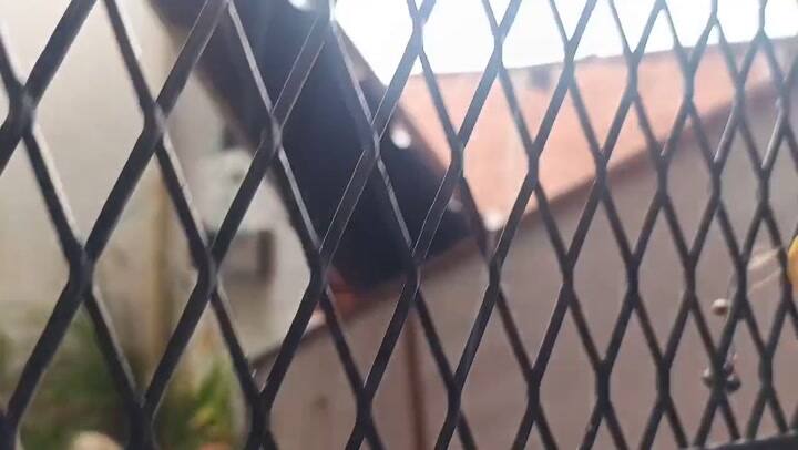 Se voló el techo de una casa en Moreno. Créditos: Camila Súnico