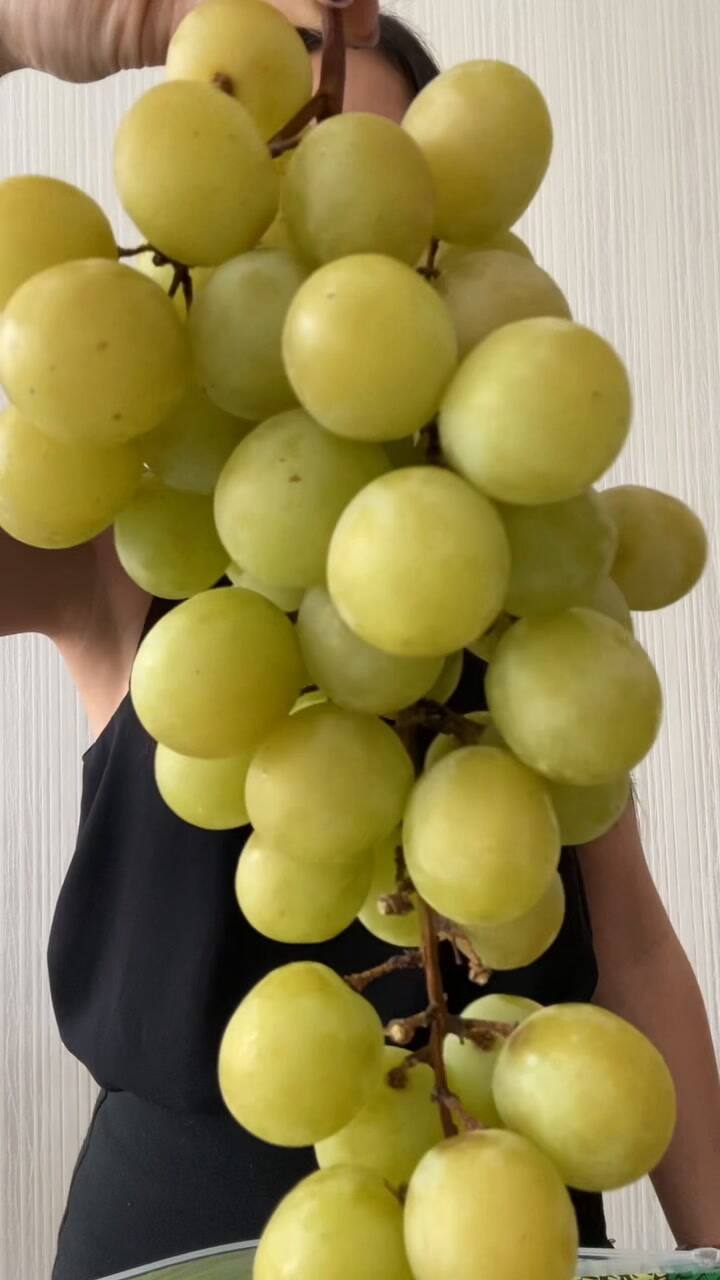 Tips para conservar uvas