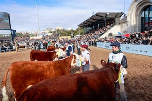 Exposición Rural: el tren de la ganadería está en marcha y puede acelerar
