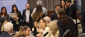 Cortocircuito y quiebre entre la Casa Rosada y sus diputados por la ley de discapacidad