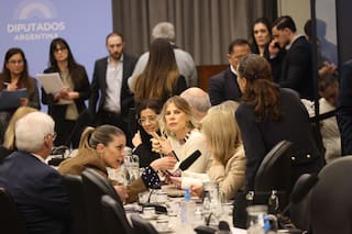 Cortocircuito y quiebre entre la Casa Rosada y sus diputados por la ley de discapacidad