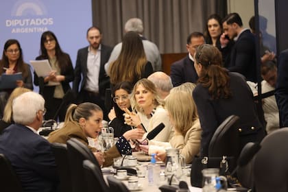 Hubo desconcierto hoy entre los diputados libertarios por el proyecto de ley de presupuesto que prevé recortes en discapacidad
