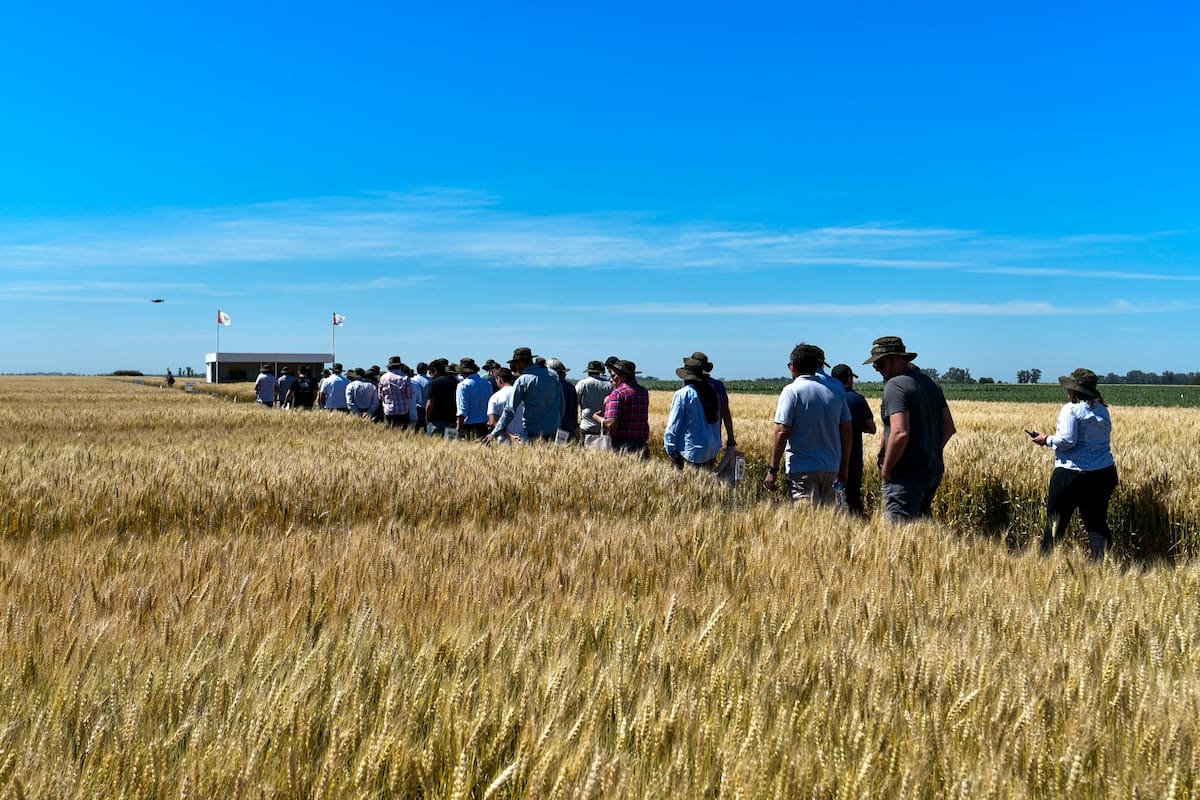 Hubo interés por las nuevas variedades