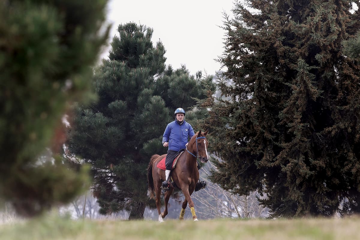 Hubo mucha seriedad en la planificación y dedicación de los integrantes. “Es mucha la ansiedad", dice Matías Péres Copello, uno de los cinco jinetes