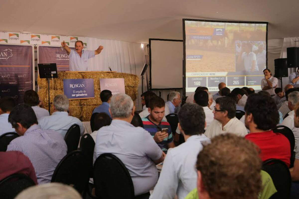 Hubo mucho interés por la subasta