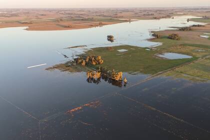 Hubo que trasladar hacienda y en algunos lugares quedaron silobolsas bajo el agua