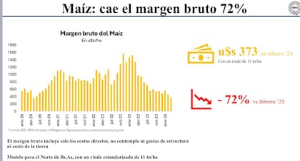 Hubo una fuerte caída del margen bruto para el maíz