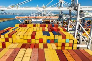 Hubo una gran baja de importaciones en febrero