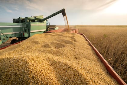 Hubo una mejora en las ventas de soja tras acortarse la brecha