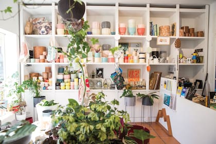Huella botánica, un local donde se dan cita el arte, la literatura, la ilustración y las plantas.