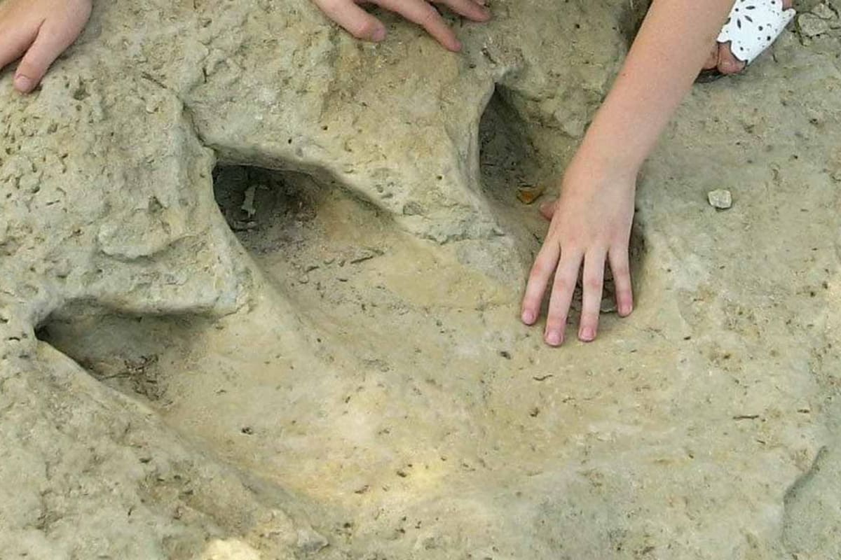 Huella de dinosaurio del Parque Estatal Dinosaur Valley (tpwd.texas.gov)