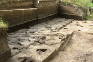 Huella de elefante fósil en Schöningen 13 II-2 Untere Berme, con fragmentos de madera en el relleno de la huella