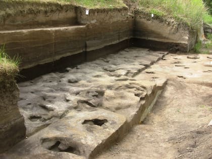 Huella de elefante fósil en Schöningen 13 II-2 Untere Berme, con fragmentos de madera en el relleno de la huella