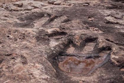 Huellas de dinosaruio halladas en Yunan