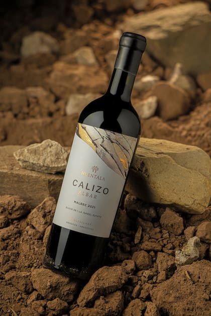Huentala Calizo Albar Block 06 2023, el vino elegido IWC Champion Red Wine 2026