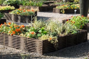 huerta