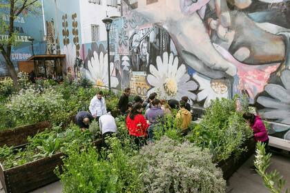Huerta comunal en una plaza de Palermo, gestionada por el equipo del restaurante Don Julio