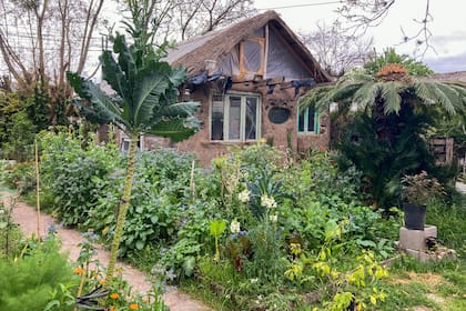 Huerta e invernadero de la casa de Ale en Ezeiza, un espacio idílico donde ambos tienen la oportunidad de hacer pruebas y exploraciones que luego comparten en sus diseños de huerta.