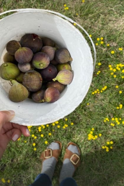 "Huerta increíble", dijo Juliana Awada sobre un rincón muy especial de la estancia que visitó