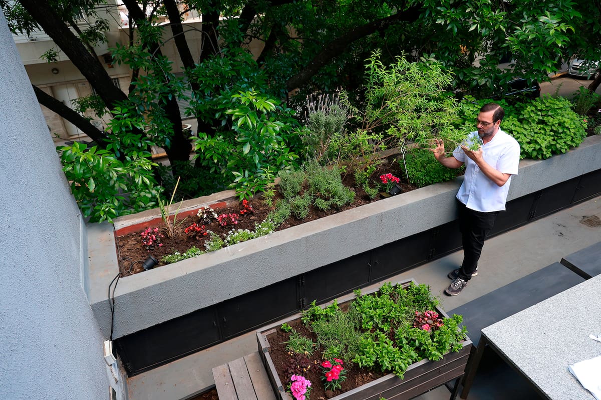 Huerta que tiene el restaurante Crizia en su terraza