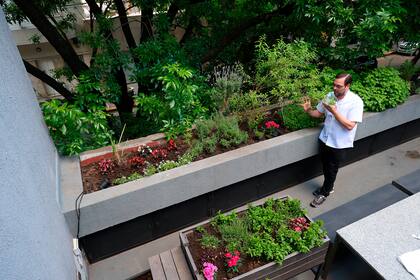 Huerta que tiene el restaurante Crizia en su terraza
