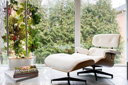 Huerta vertical ideal para ambientes interiores